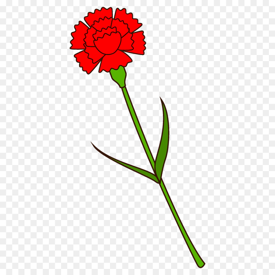 Flor Roja，Provenir PNG