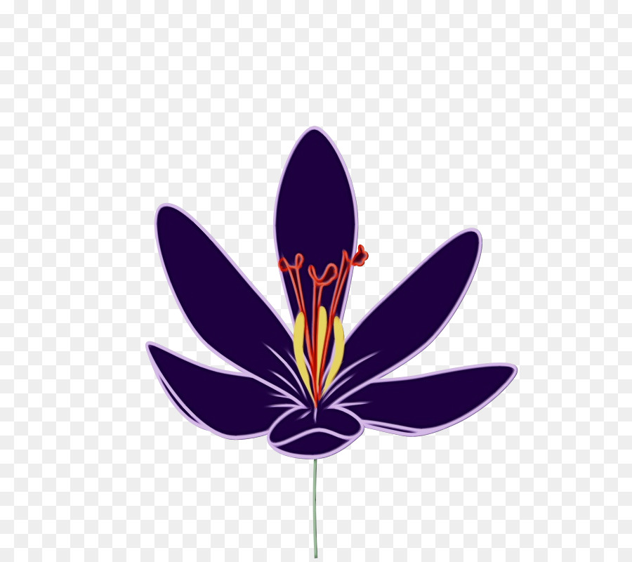 Flor，Pétalos PNG