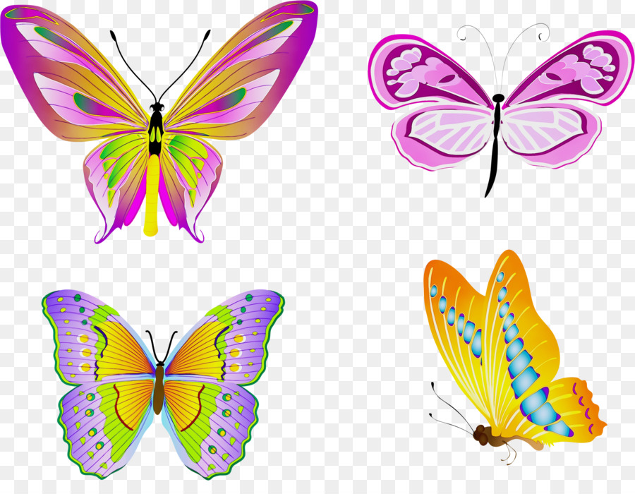 Mariposas，Alas PNG