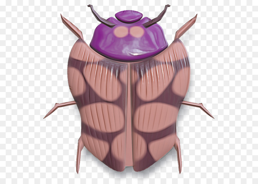 Escarabajo Morado，Bicho PNG