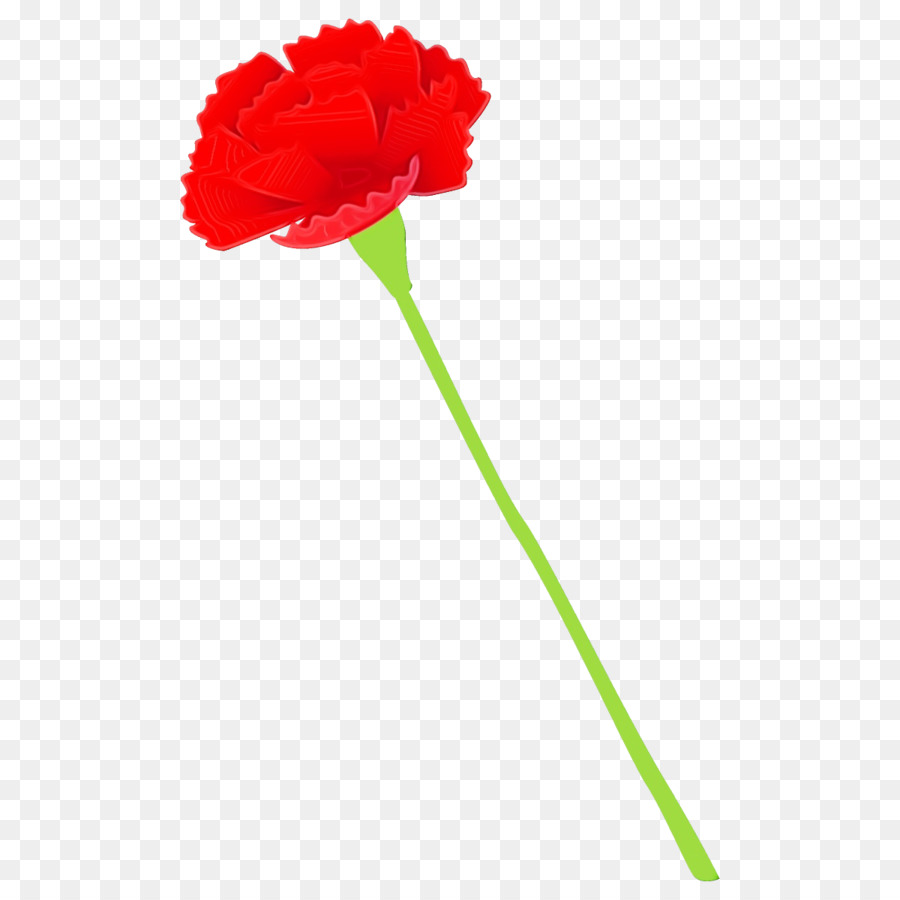 Flor Roja，Provenir PNG