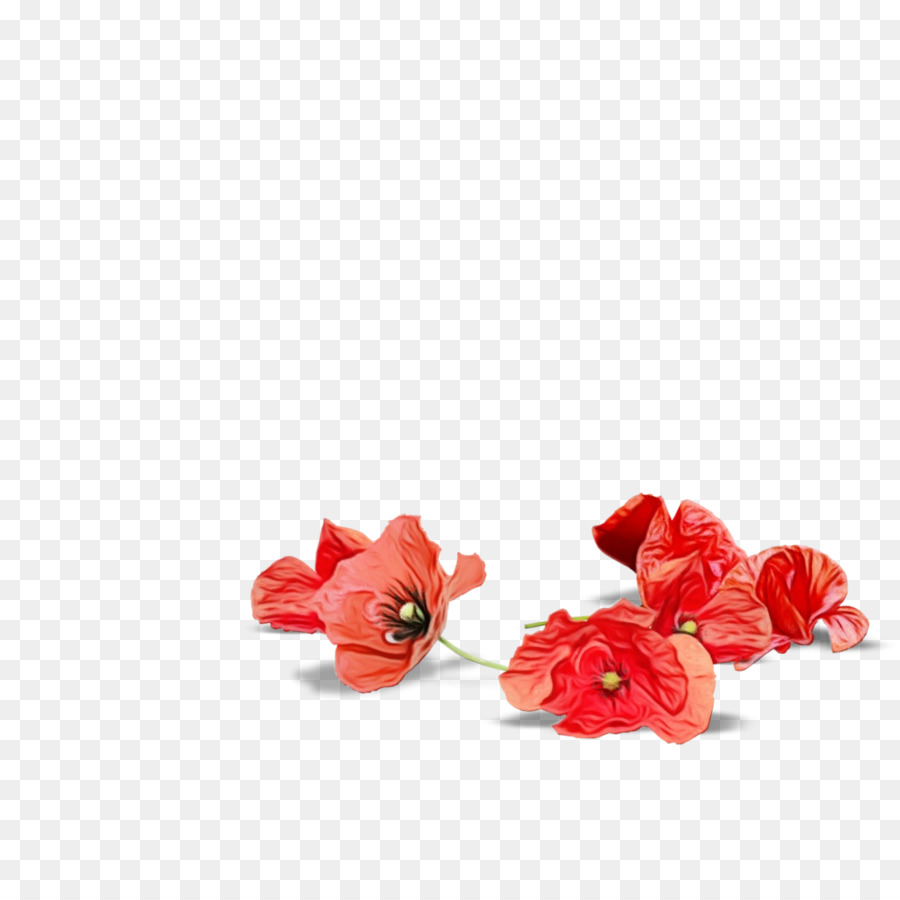 Flores Rojas，Naturaleza PNG