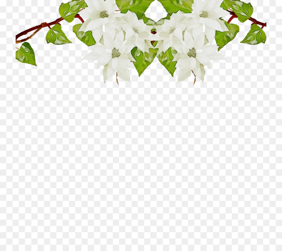 Flor，Planta PNG