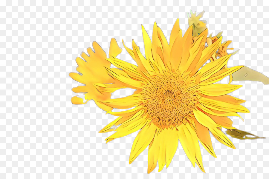 Girasol，Amarillo PNG