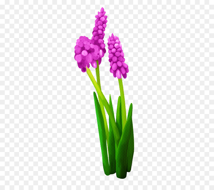 Flores，Púrpura PNG