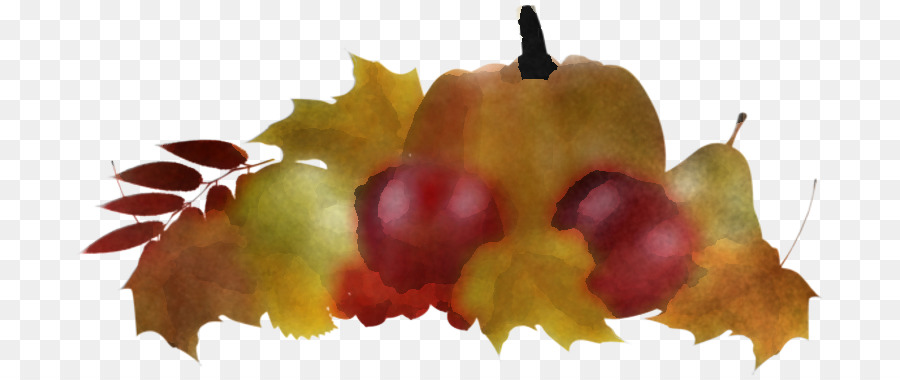 Hoja，La Fruta PNG