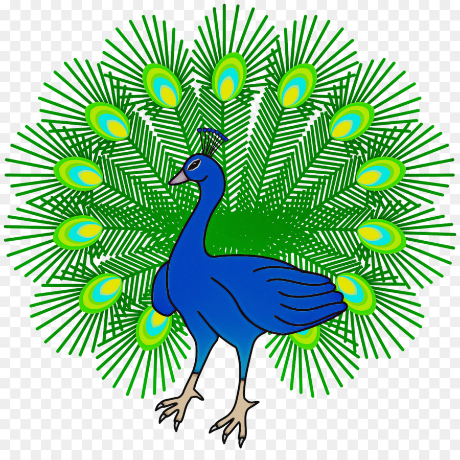 Pavo Real，Aves PNG