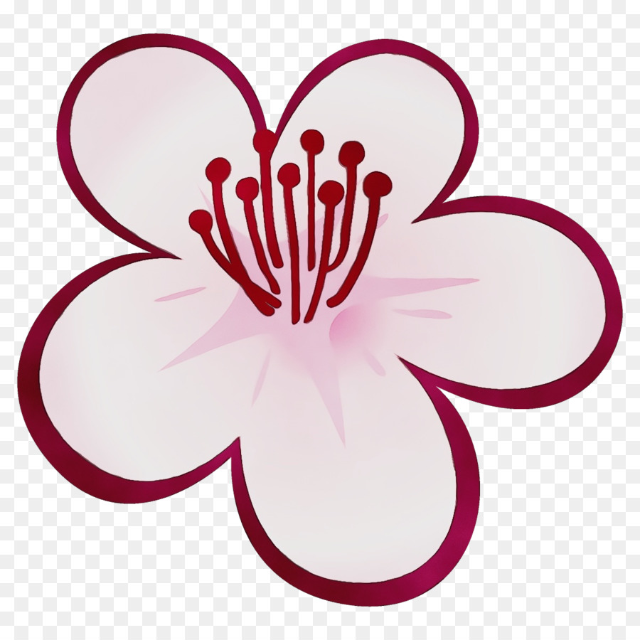 Flor，Florecer PNG