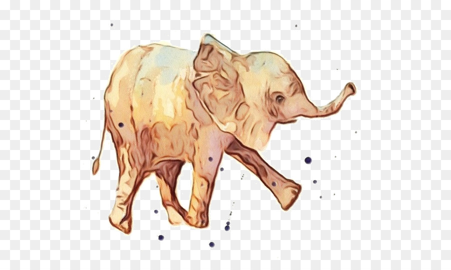 Elefante，Elefante Indio PNG