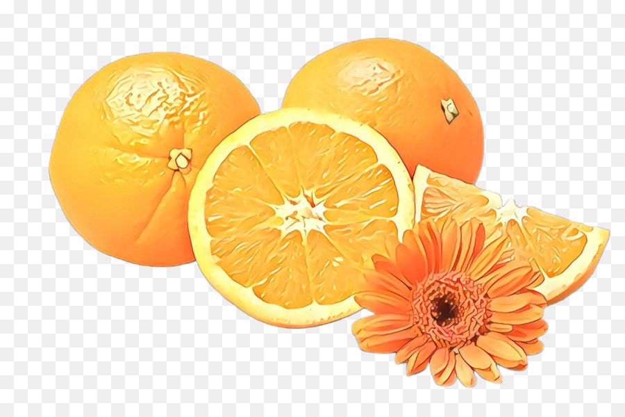 Cítricos，Naranja PNG