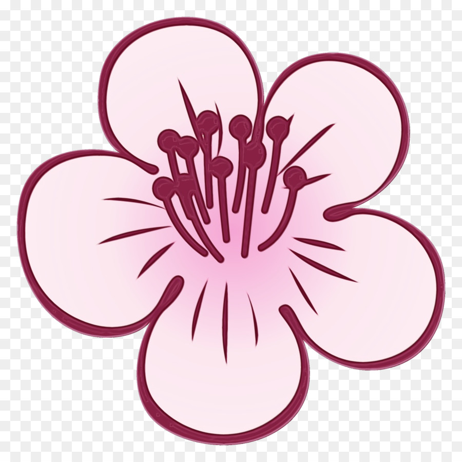 Flor，Florecer PNG