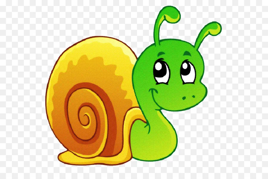 Caracol，Caparazón PNG