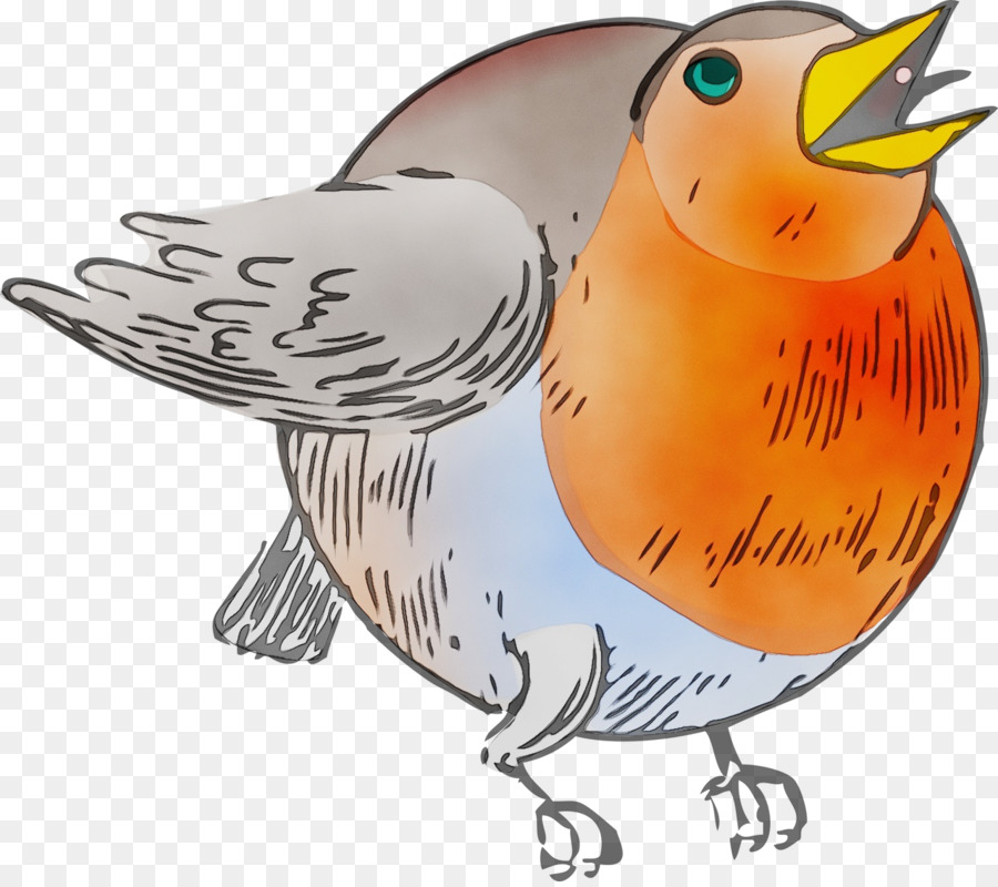 La Historieta，Aves PNG