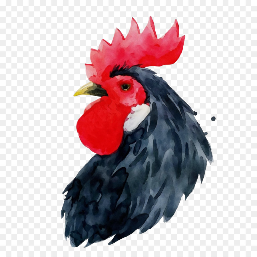 Gallo，Pollo PNG