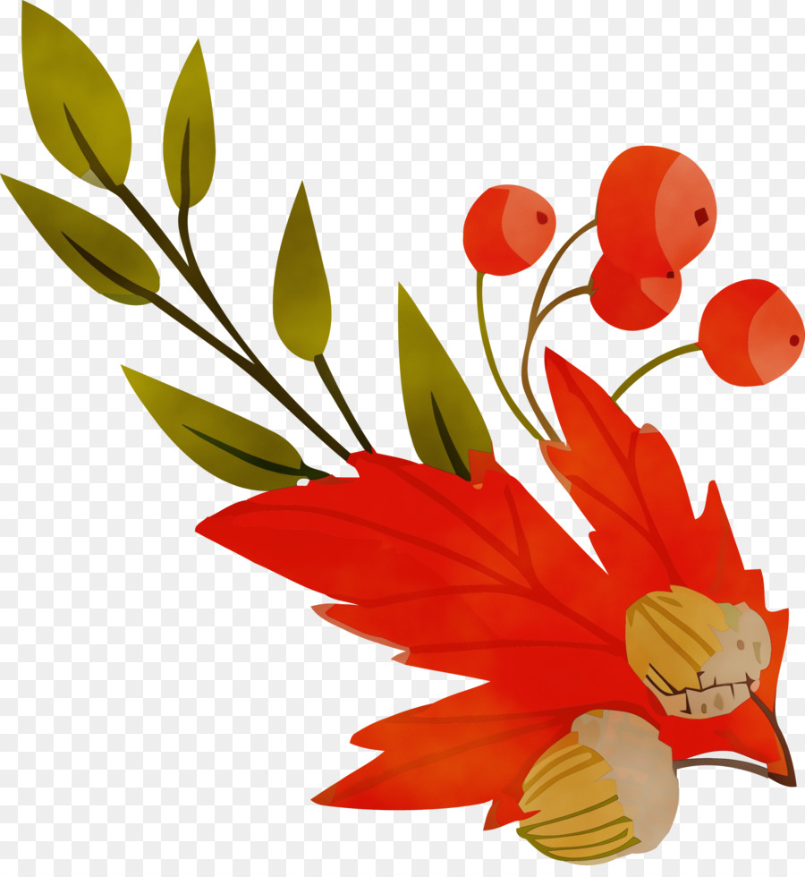 Flor，Rojo PNG