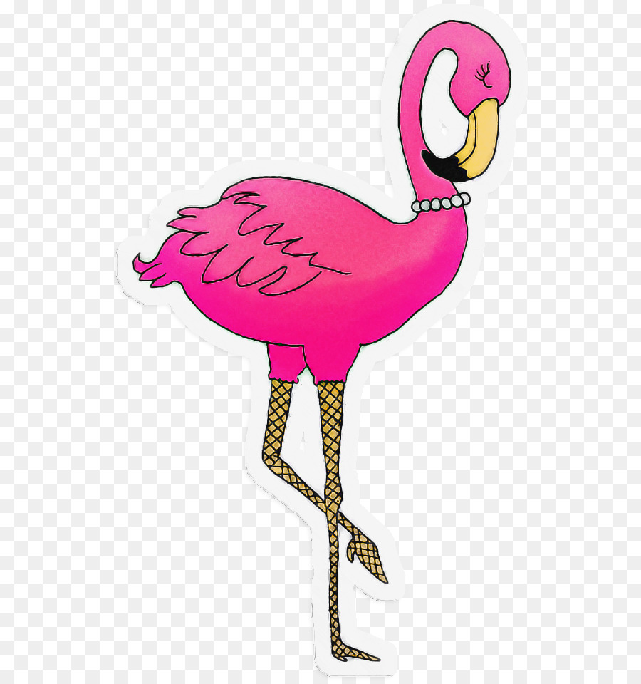 Flamingo，Aves PNG