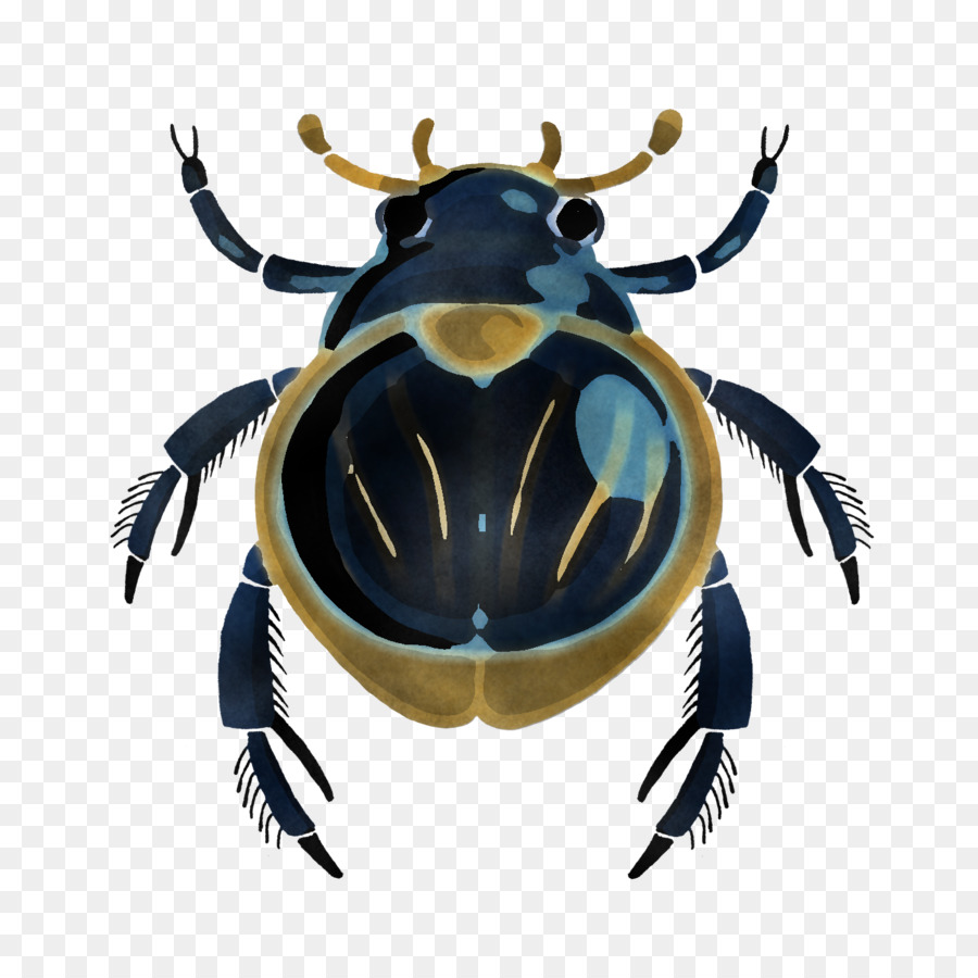 Los Insectos，De Plagas PNG