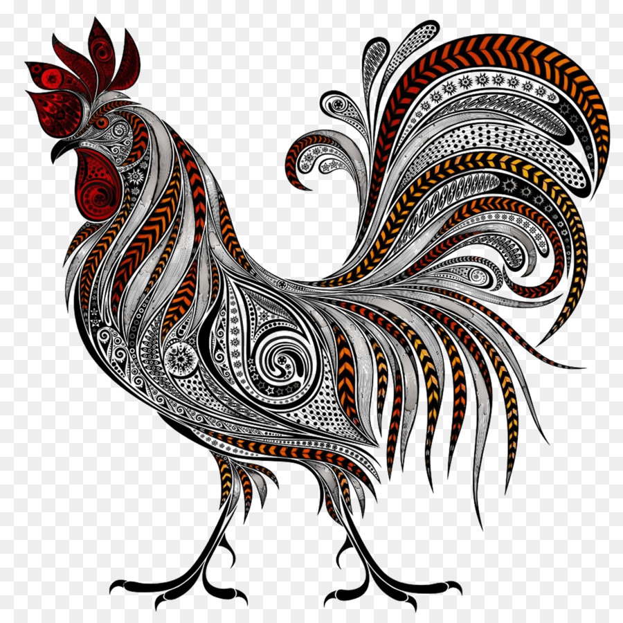 Pollo，Gallo PNG