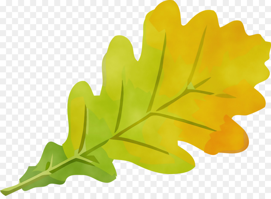 Hoja，Planta PNG