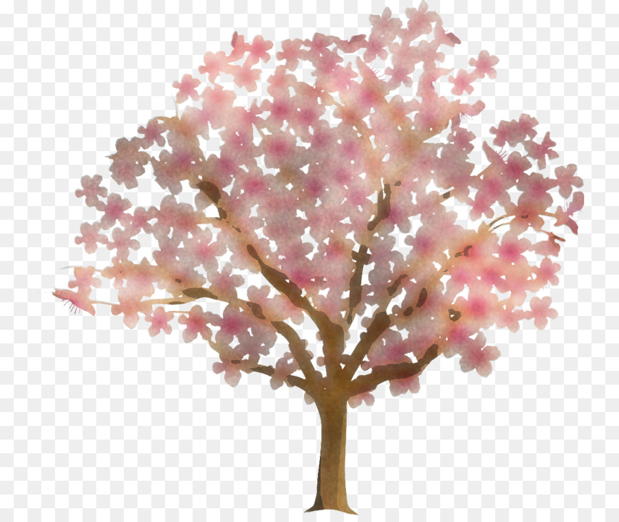 árbol Rosa，Árbol PNG