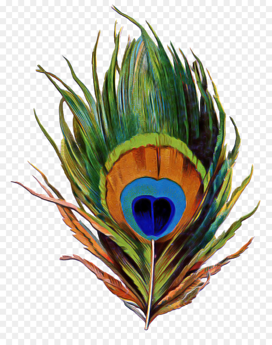 Pluma，Planta PNG