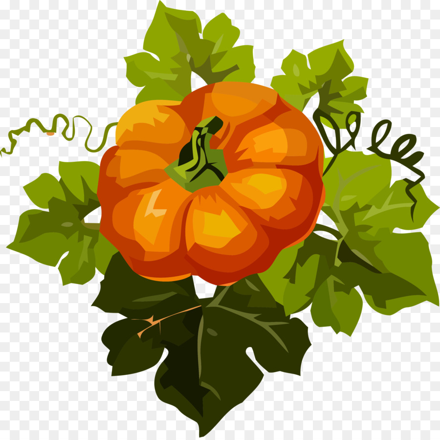 Naranja，Planta PNG