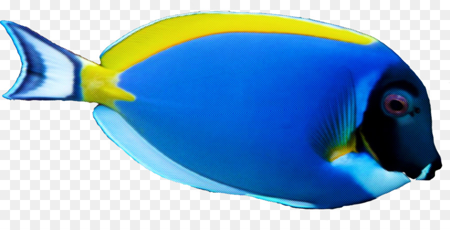 Azul，Los Peces PNG