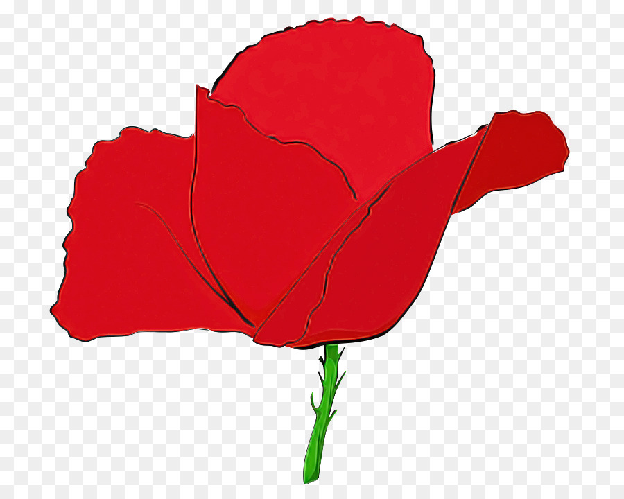 Rojo，Flor PNG