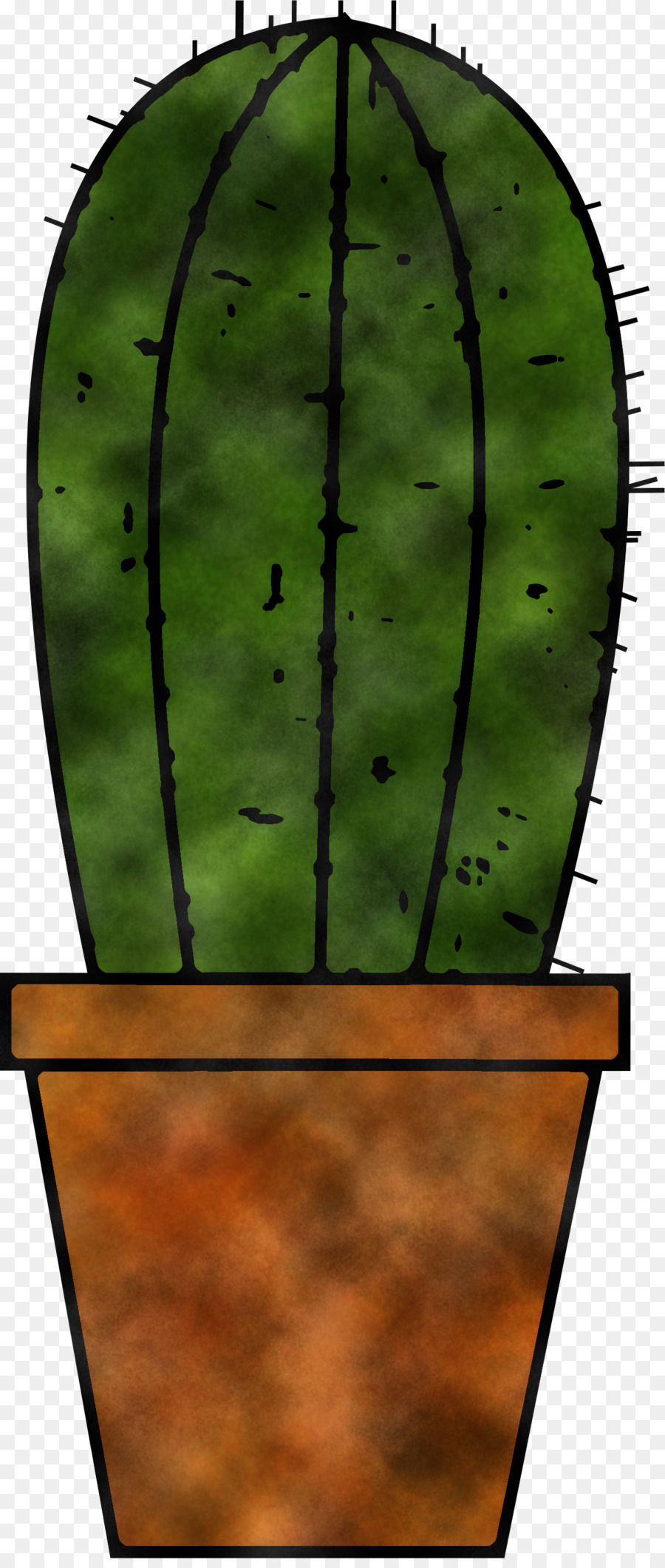 Verde，Cactus PNG
