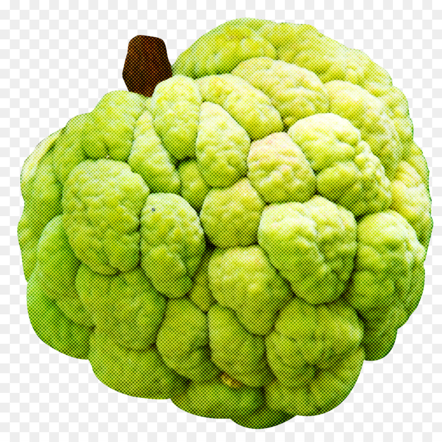 Planta，La Coliflor PNG