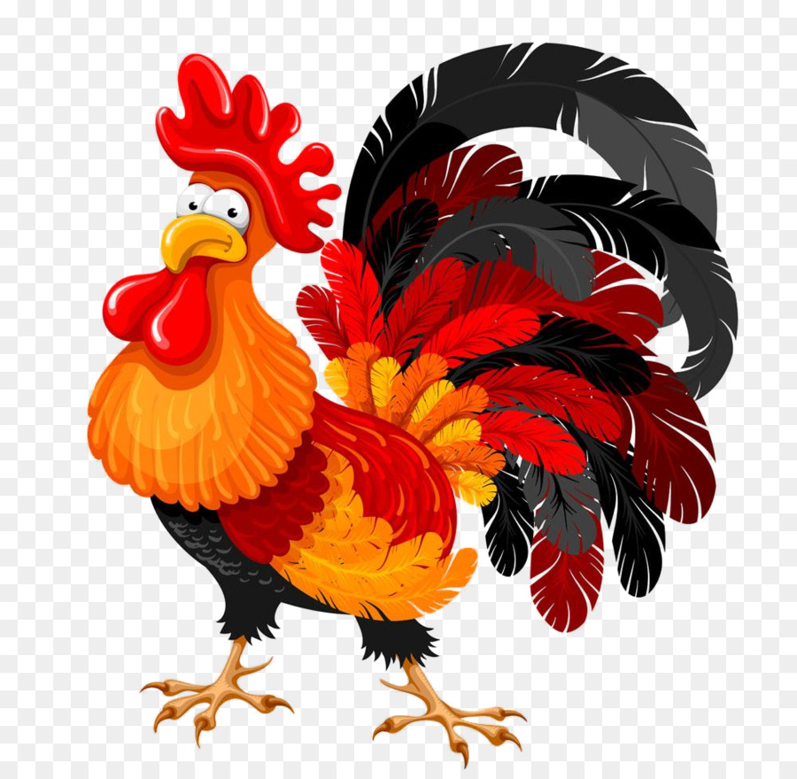 Gallo De Dibujos Animados，Pollo PNG