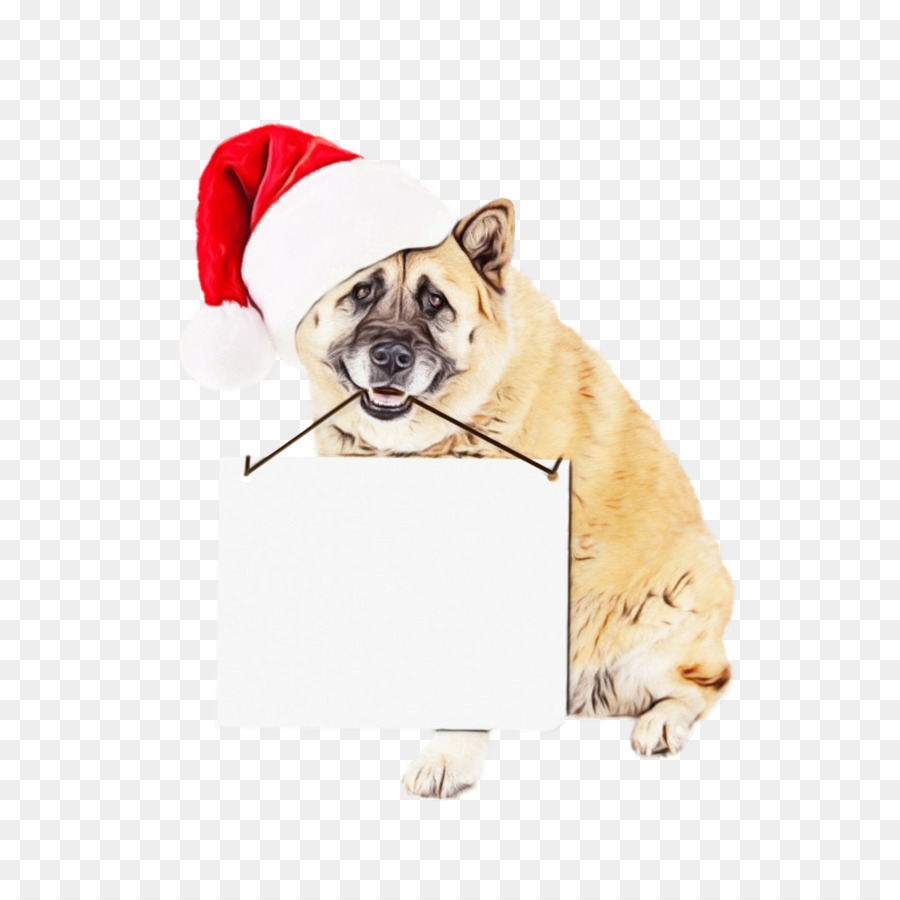 Perro，Bulldog PNG