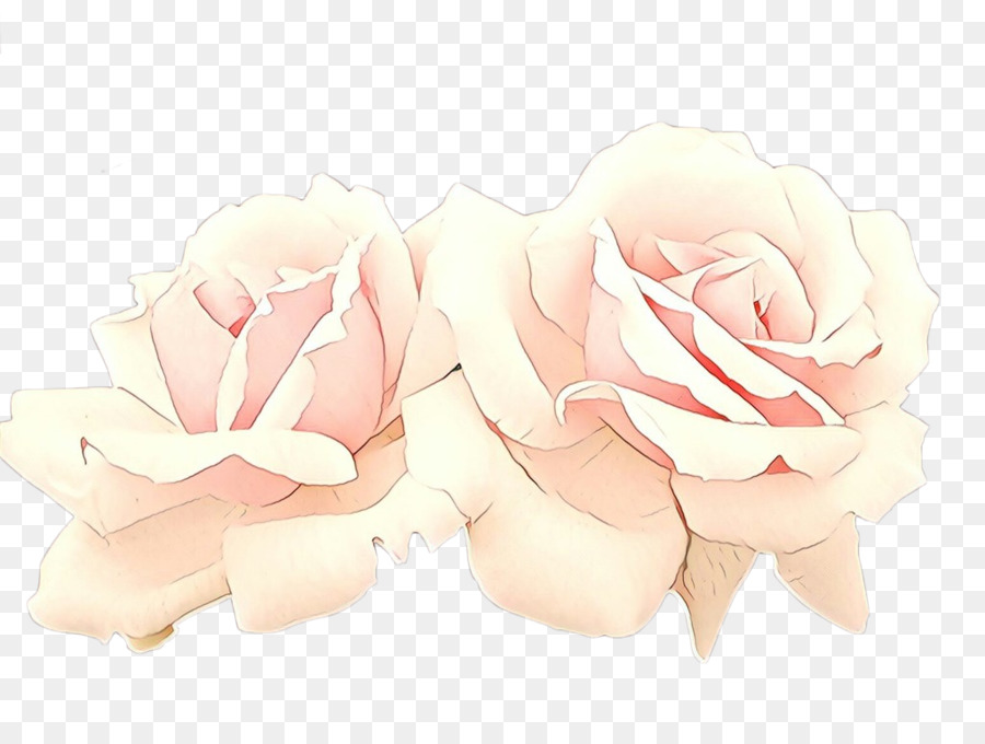 Blanco，Rosa PNG