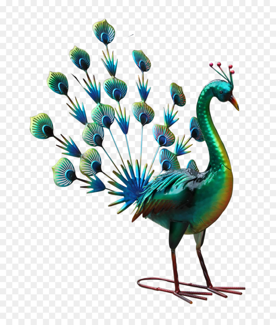 Pavo Real，Aves PNG