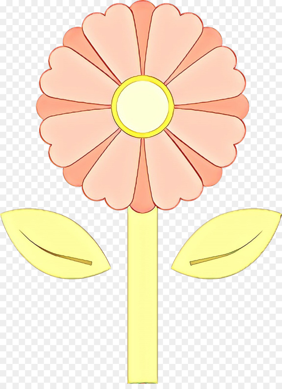 Amarillo，Gerbera PNG