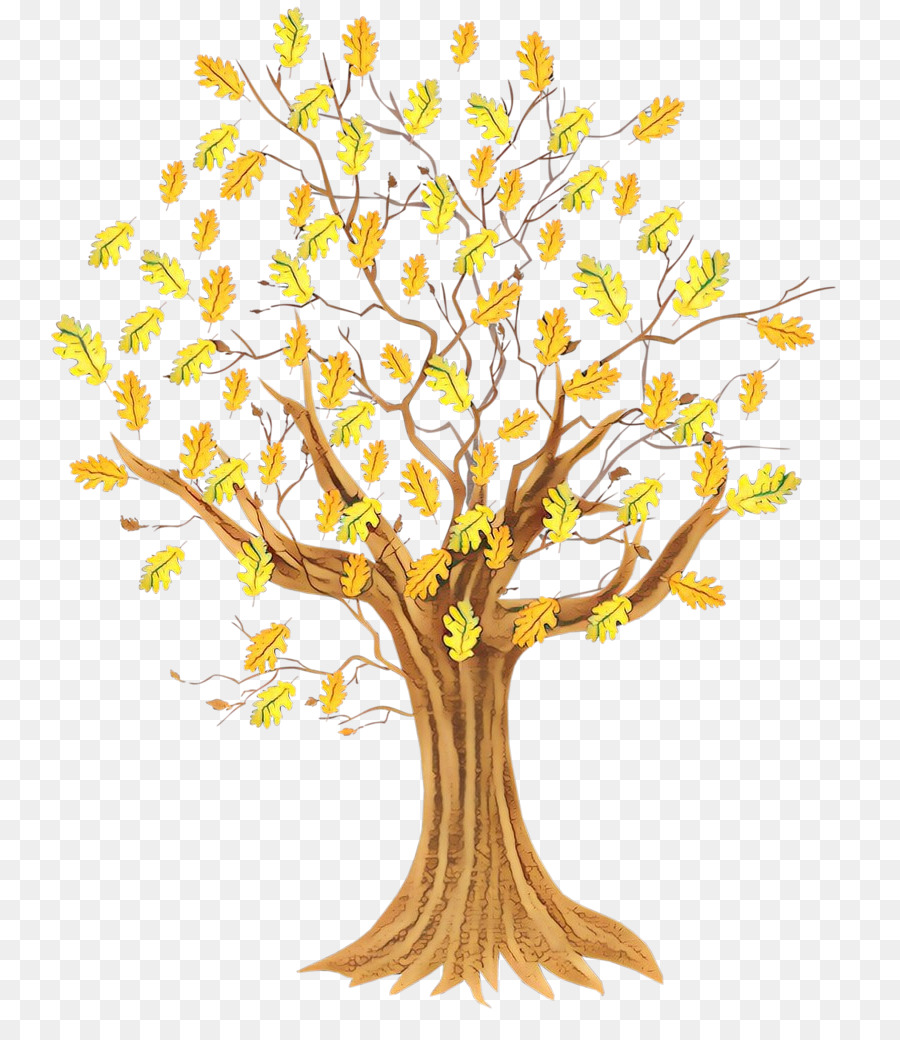 Árbol，Rama PNG