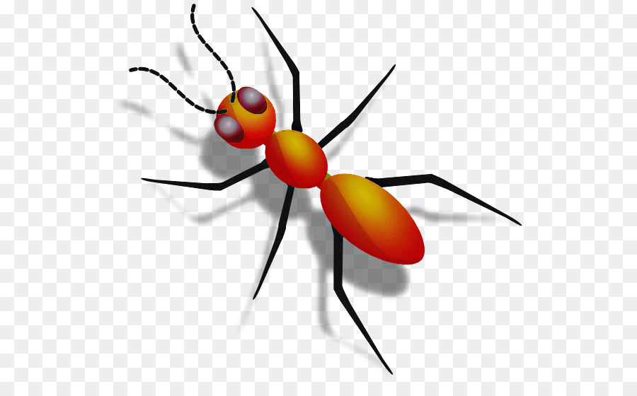 Los Insectos，De Plagas PNG