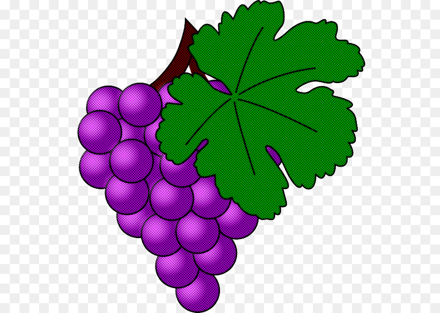 Uvas，Racimo PNG