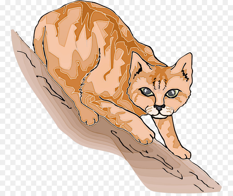 Fennec Fox，Gato PNG