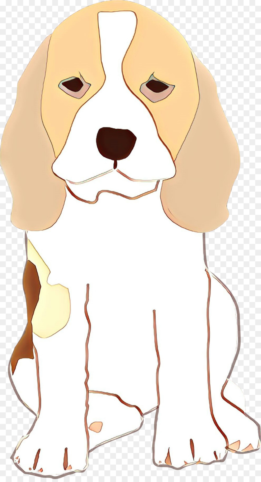 Perro，Nariz PNG