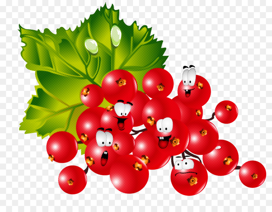 Grosella，Berry PNG