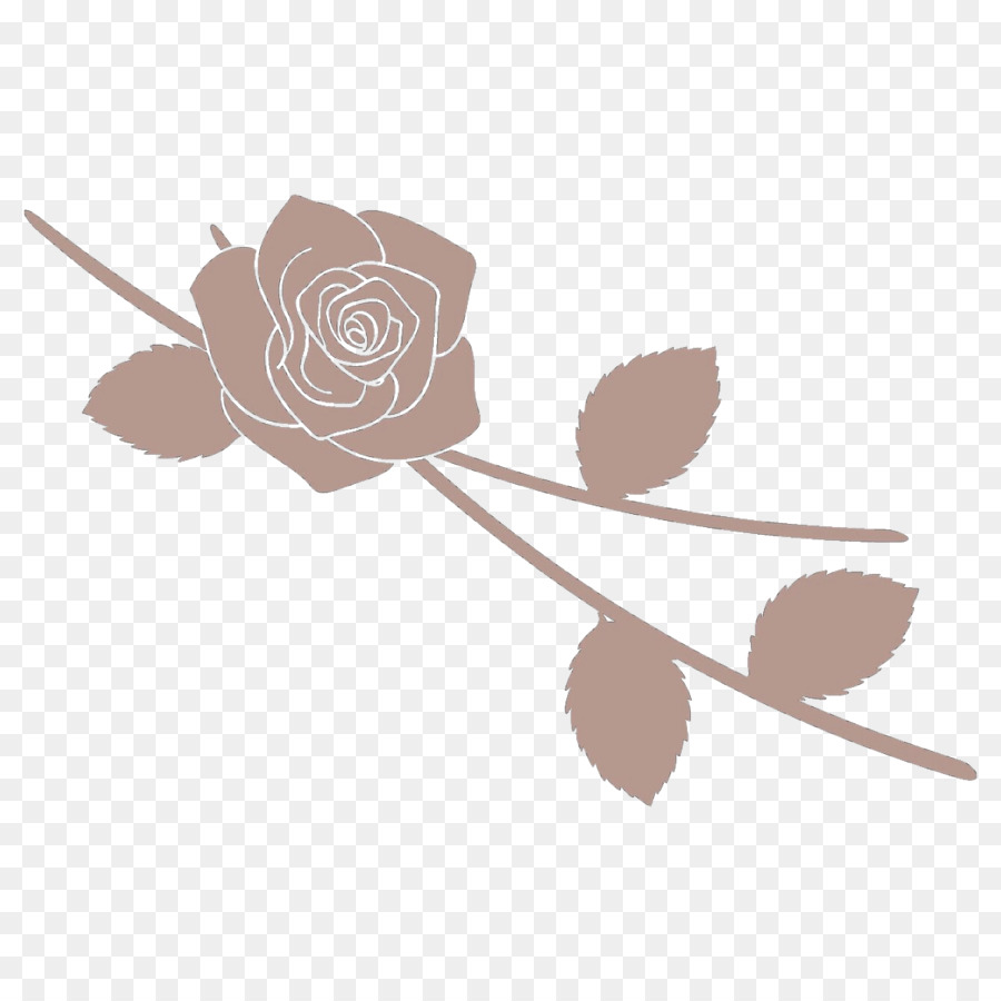 Blanco，Rosa PNG