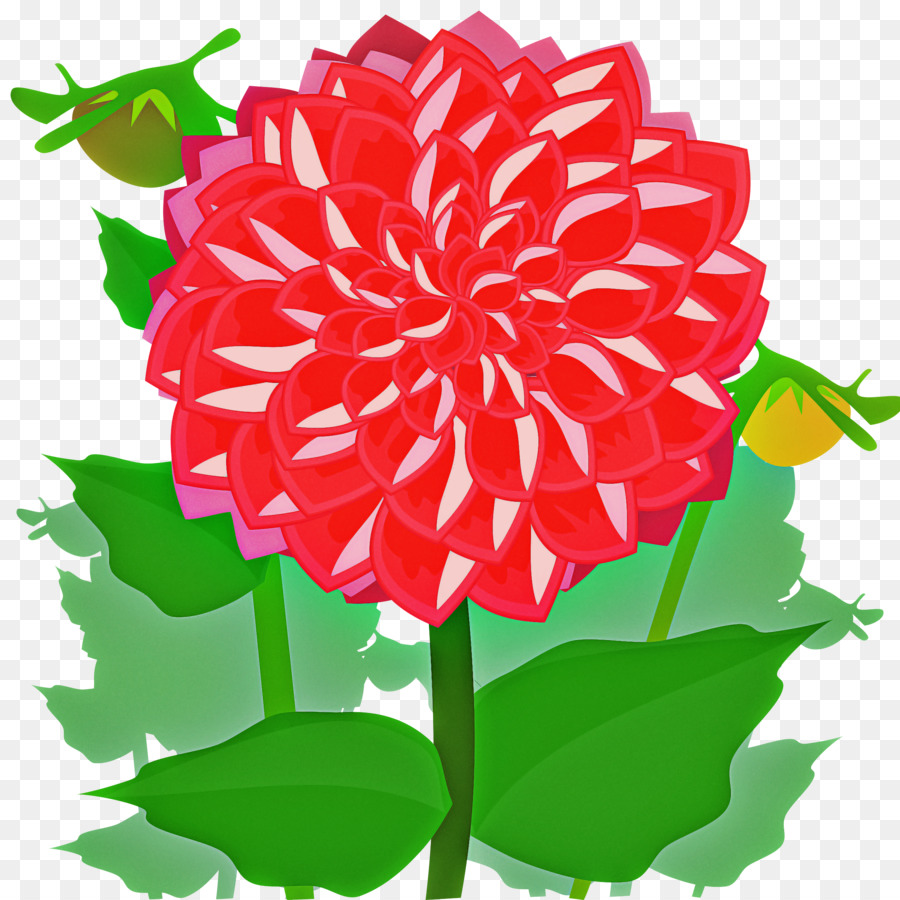 Flor，Planta PNG