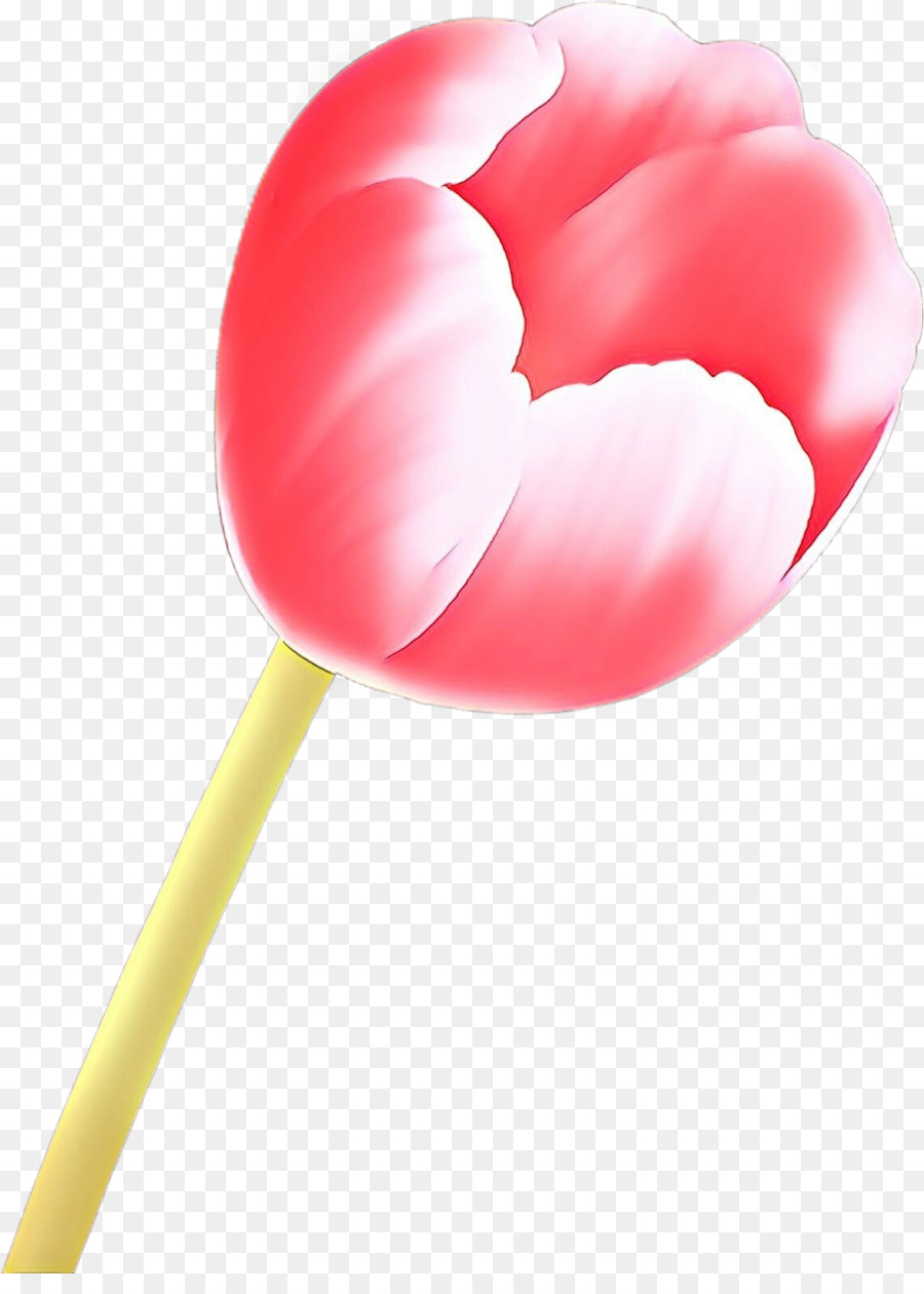 Rosa，Tulip PNG