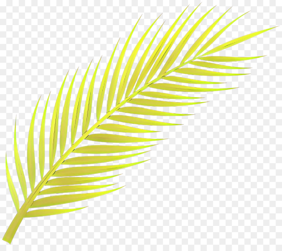 Pluma，Amarillo PNG