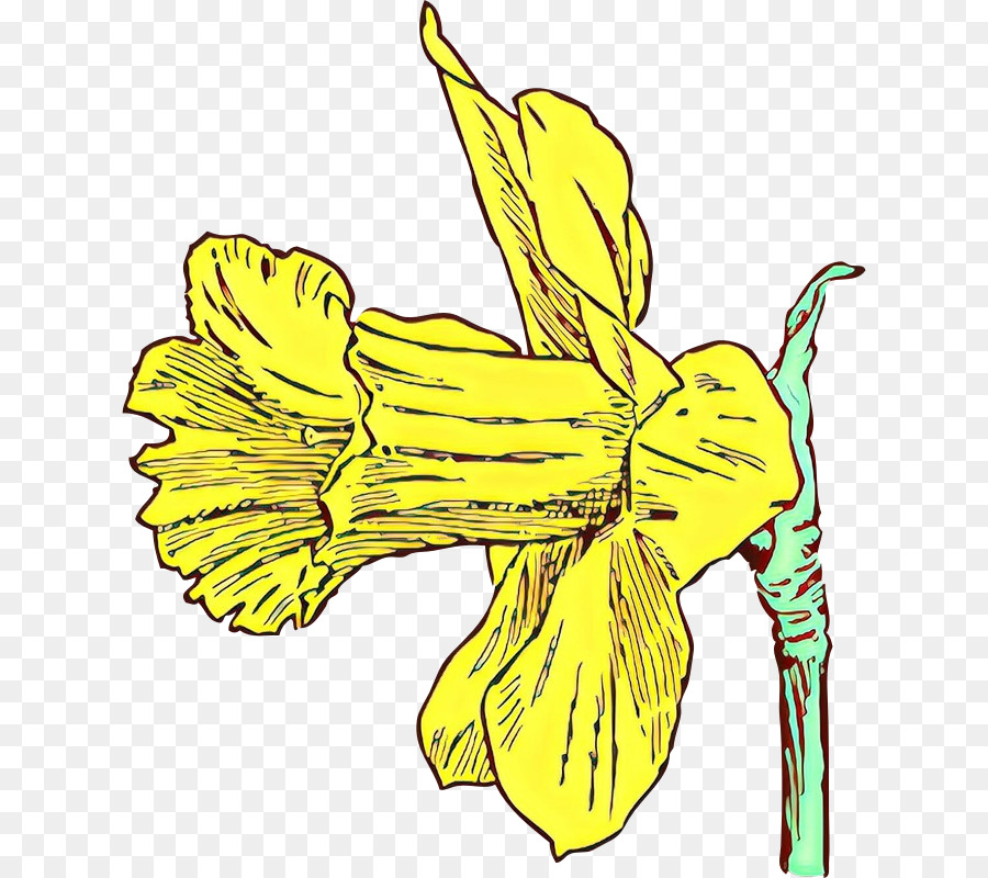 Amarillo，Flor PNG