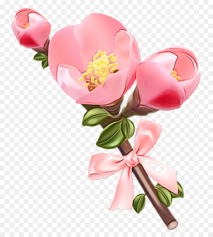 Rosa，Flor PNG