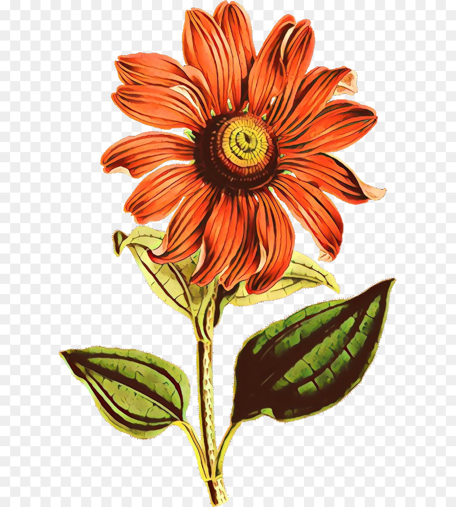 Girasol，Flor PNG