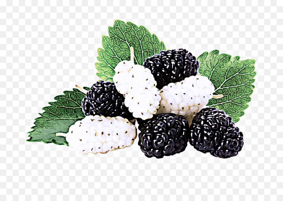 Blackberry，Berry PNG