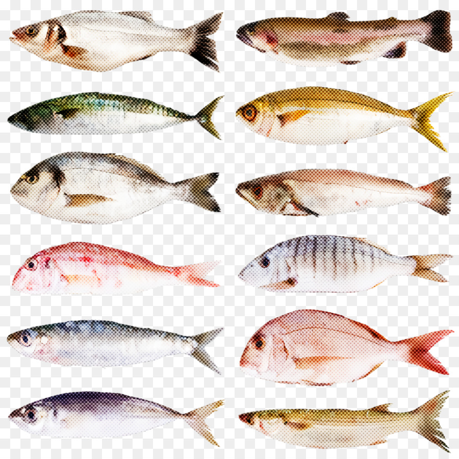 Los Peces，Los Productos De Pescado PNG